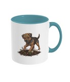 Two Toned Mug Border Terrier