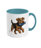 Two Toned Mug Naughty Lakeland