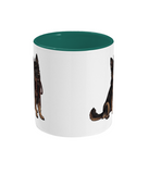 Two Toned Mug Shepherd with lead