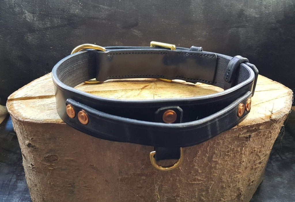 The Agitation collar The Traditional Leather Lead Company