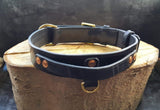 The 'Agitation' collar